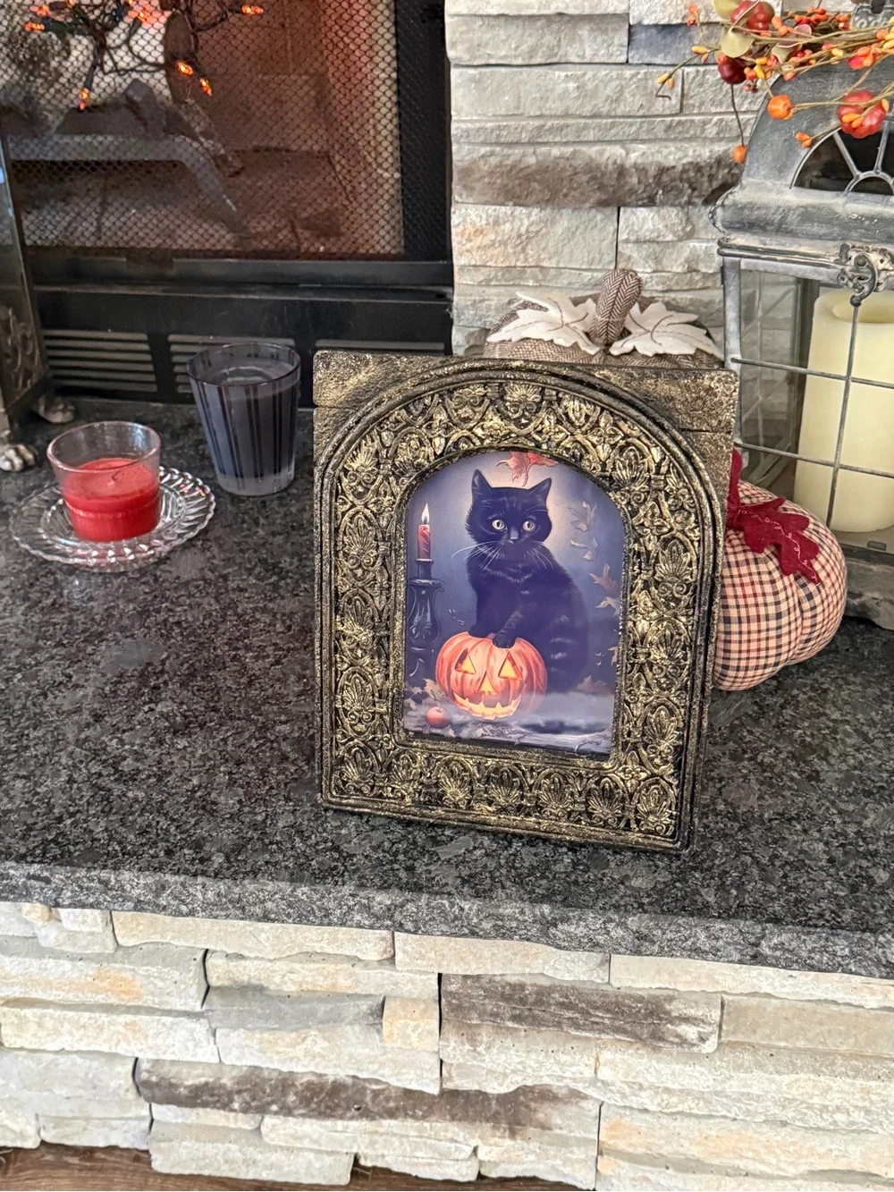 Vintage showcases black